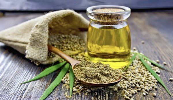 chto-takoe-konoplyanyy-protein-